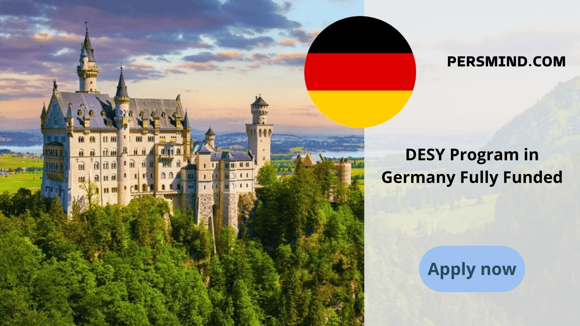 DESY Program in Germany